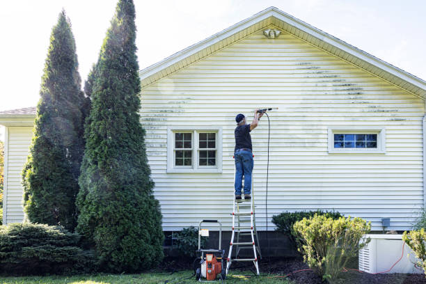 Best Graffiti Removal  in Kincheloe, MI